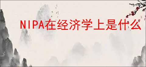NIPA在经济学上是什么