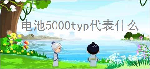电池5000typ代表什么