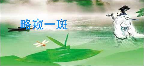 略窥一斑