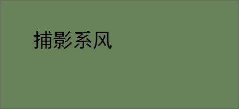 捕影系风