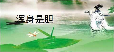 浑身是胆