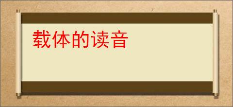 载体的读音
