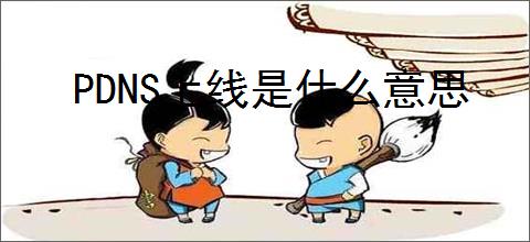 PDNS上线是什么意思