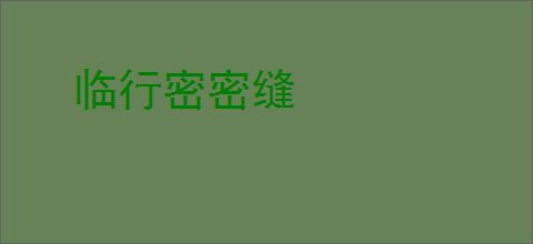 临行密密缝