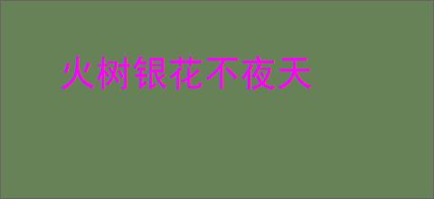 火树银花不夜天