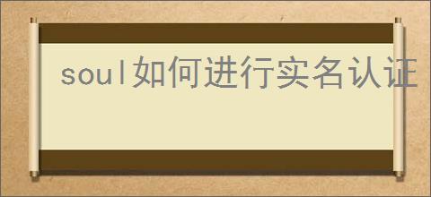 soul如何进行实名认证