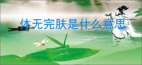 体无完肤是什么意思