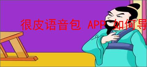 很皮语音包 APP 如何导入游戏