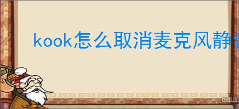 kook怎么取消麦克风静音