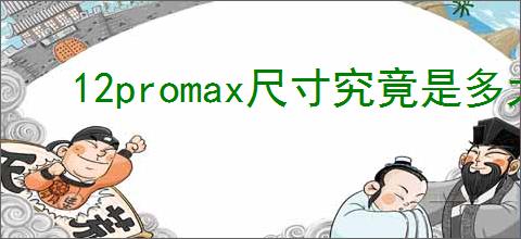 12promax尺寸究竟是多大