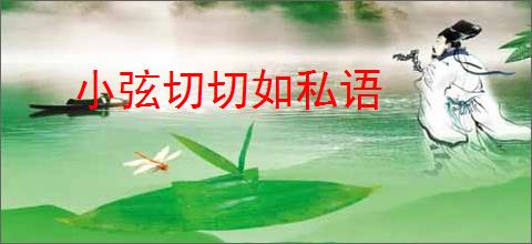 小弦切切如私语
