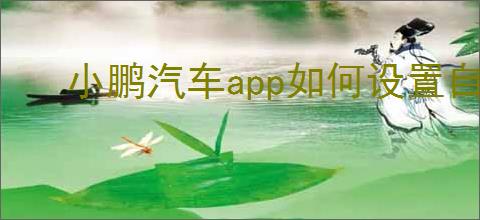 小鹏汽车app如何设置自动下电提醒