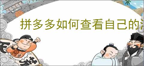 拼多多如何查看自己的消费总金额