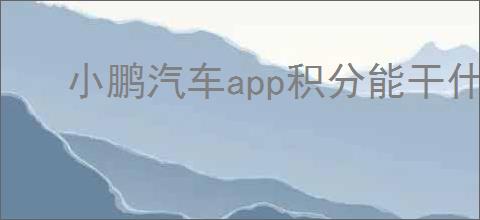 小鹏汽车app积分能干什么