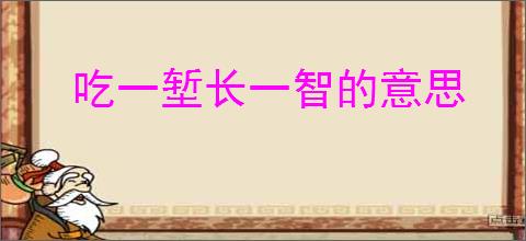 吃一堑长一智的意思