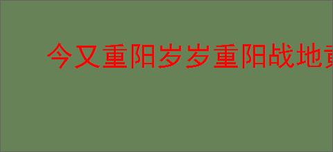 今又重阳岁岁重阳战地黄花分外香