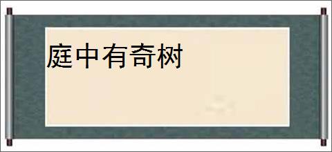 庭中有奇树
