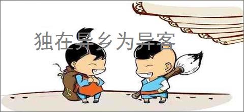 独在异乡为异客