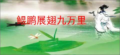 鲲鹏展翅九万里