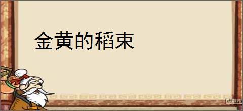金黄的稻束