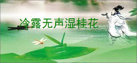 冷露无声湿桂花