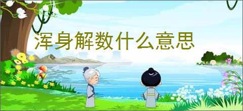 浑身解数什么意思