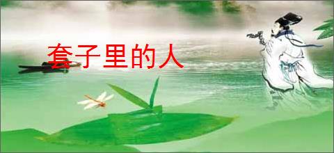 套子里的人