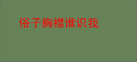 俗子胸襟谁识我