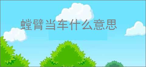 螳臂当车什么意思