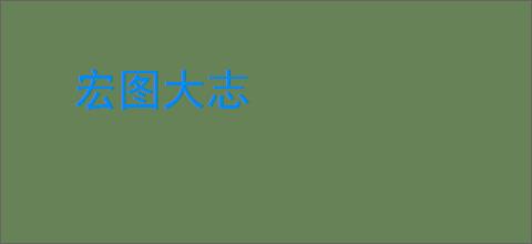 宏图大志