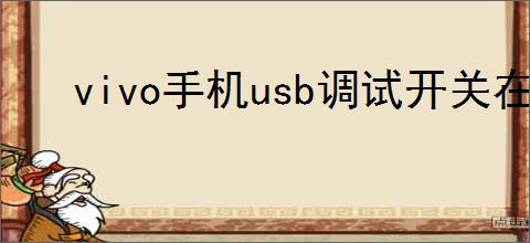 vivo手机usb调试开关在哪