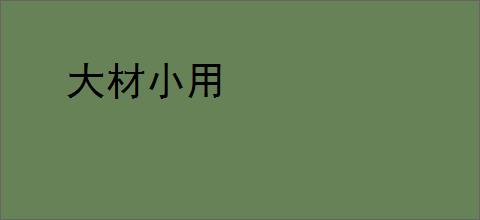 大材小用