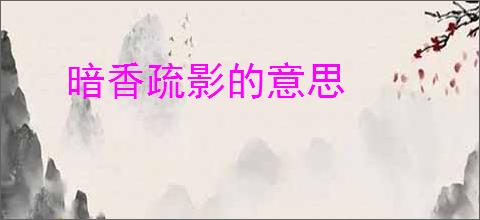 暗香疏影的意思
