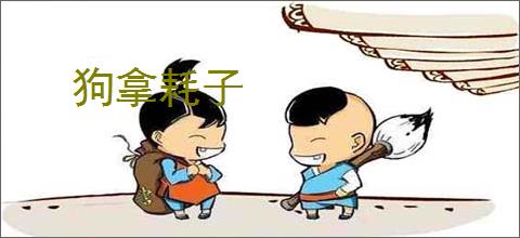 狗拿耗子