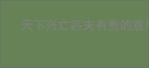 天下兴亡匹夫有责的意思
