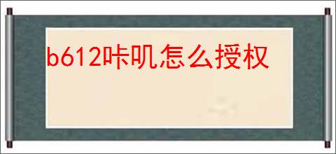 b612咔叽怎么授权