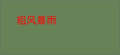 粗风暴雨