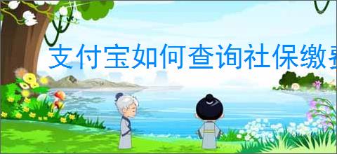 支付宝如何查询社保缴费记录