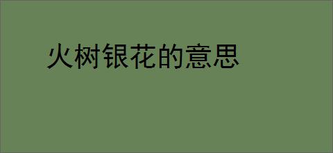 火树银花的意思