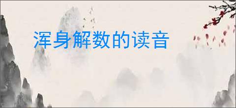 浑身解数的读音