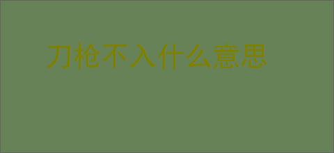 刀枪不入什么意思