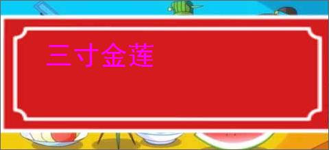 三寸金莲