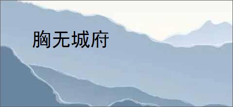 胸无城府