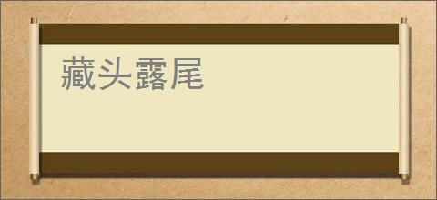 藏头露尾