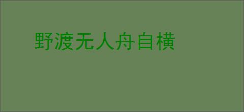 野渡无人舟自横