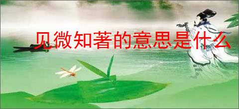 见微知著的意思是什么