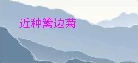 近种篱边菊