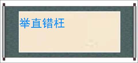 举直错枉