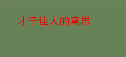 才子佳人的意思