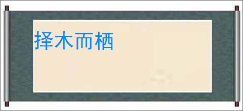 择木而栖